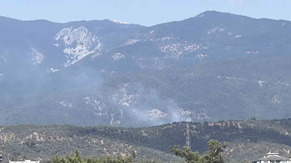 Kazdağı Milli Parkı'ndaki Orman Yangını Başarıyla Kontrol Altına Alındı