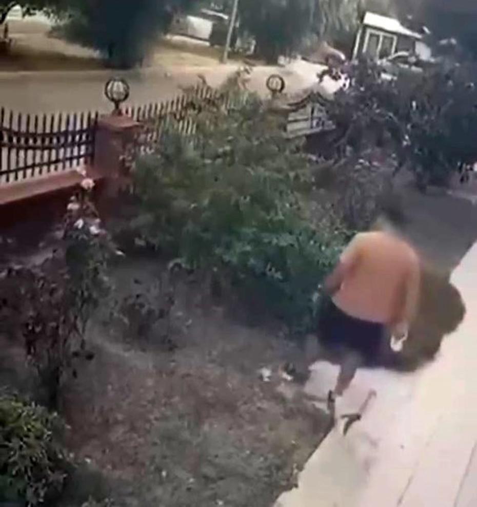 İzmir'de Yavrulu Kediye Şiddet Uygulayan Şüpheli Yakalandı
