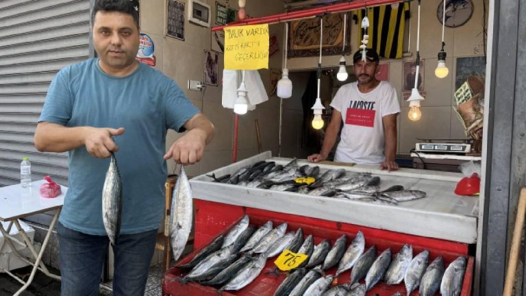 Zonguldak'ta tuzlu su av sezonu bol palamutla başladı