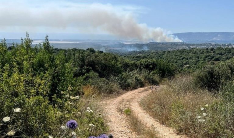 İsrail'in Lübnan'ın güneyine saldırısı: İlk yardım çalışanları hayatını kaybetti – Son Dakika Dünya Haberleri