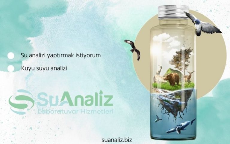 Su Analizi Yaptırmak İstiyorum: Hangi Kirleticilere Dikkat Etmeliyim?