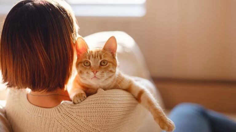 Evde hayvan beslemek, dijital bağımlılıktan uzaklaştırıyor