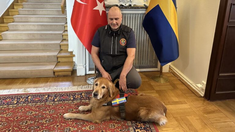 Asrın felaketinde 18 kişiyi kurtaran kahraman köpek hayatını kaybetti