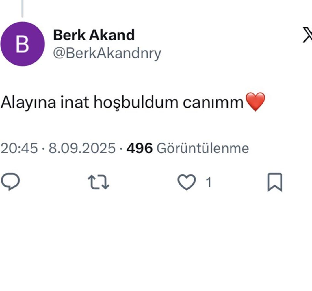 Şule Çet'te hapis cezasına çarptırıldı! dava. Adalet Bakanlığı'ndan Berk Akand açıklaması 3